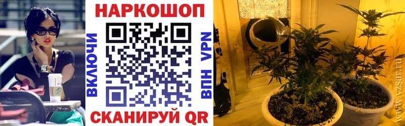 Названия наркотиков Каменка Псилоцибиновые грибы Бошки Шишки APVP АМФ