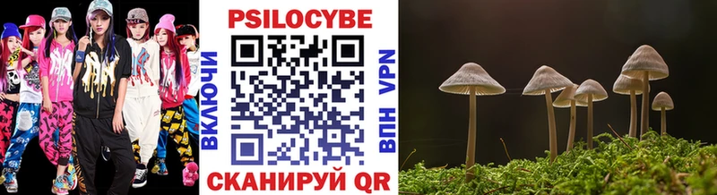 Галлюциногенные грибы MAGIC MUSHROOMS  хочу   Каменка 