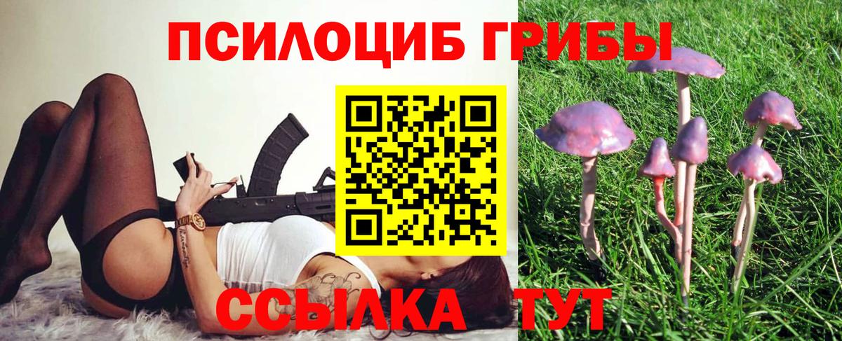 Галлюциногенные грибы MAGIC MUSHROOMS Каменка