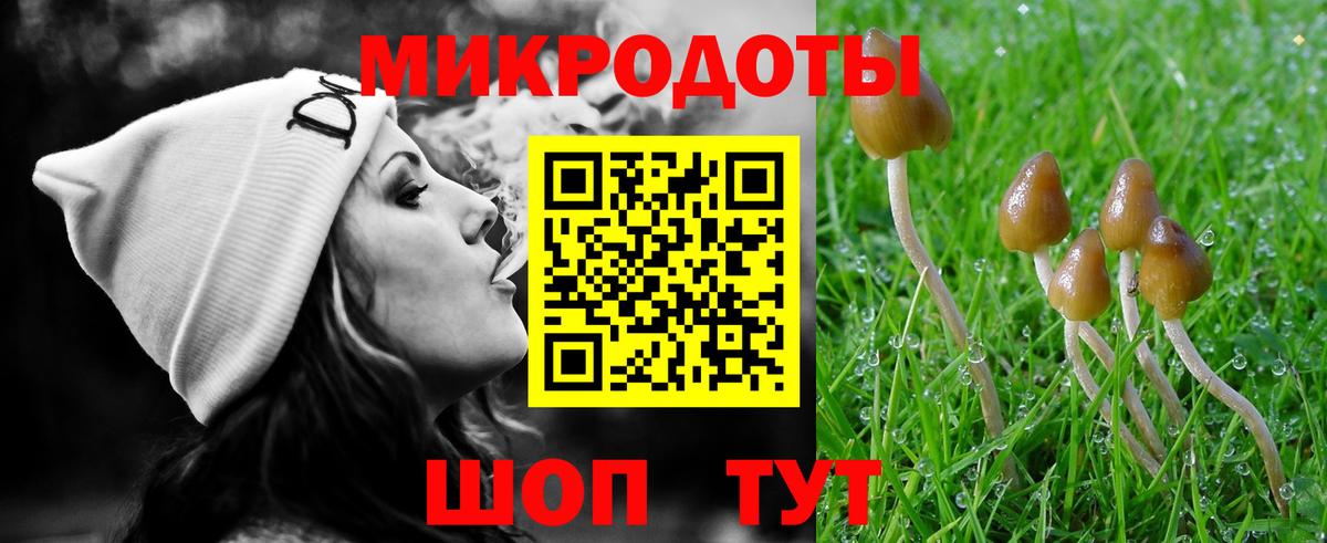 Псилоцибиновые грибы прущие грибы  Псилоцибиновые грибы Psilocybine cubensis  Каменка  Вход с VPN 