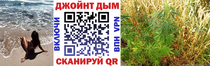 Шишки марихуана ГИДРОПОН  как найти   darknet какой сайт  Каменка 
